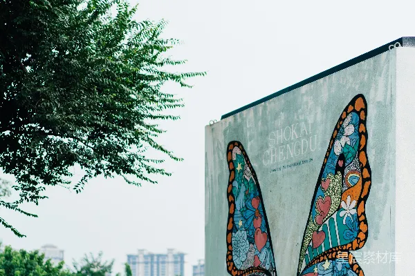 高清摄影 建筑物侧面画着一只大蝴蝶。
