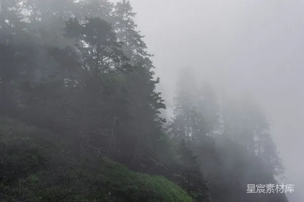 山中雾气缭绕，旁边有树木。