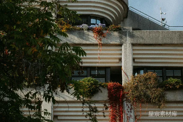 高清摄影 现代建筑，阳台上种有植物。