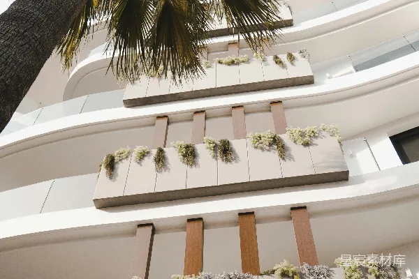 高清摄影 绿色棕榈树靠近白色混凝土建筑