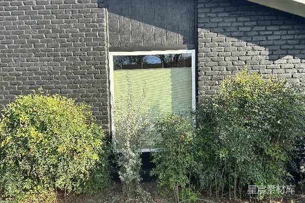 高清摄影 黑色砖砌的建筑，周围有绿色的灌木丛和一扇窗户。
