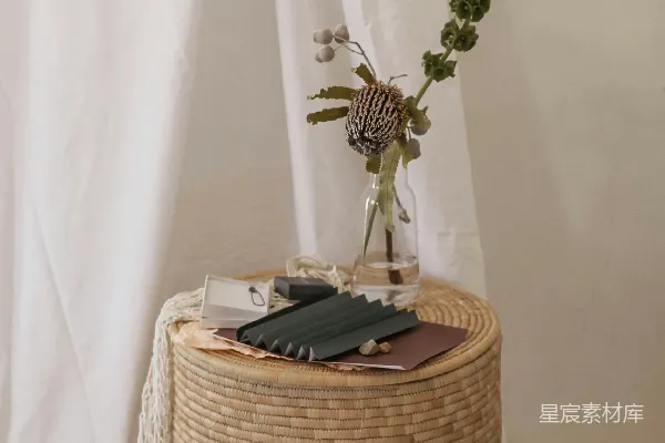 玻璃瓶中种植植物放在棕色藤编桌子上