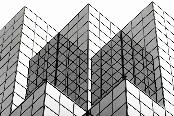 高清摄影 一张黑白照片，展示了一座高大的建筑。