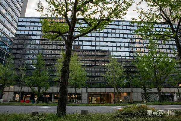 高清摄影 前景中有树木和街道的现代化玻璃建筑