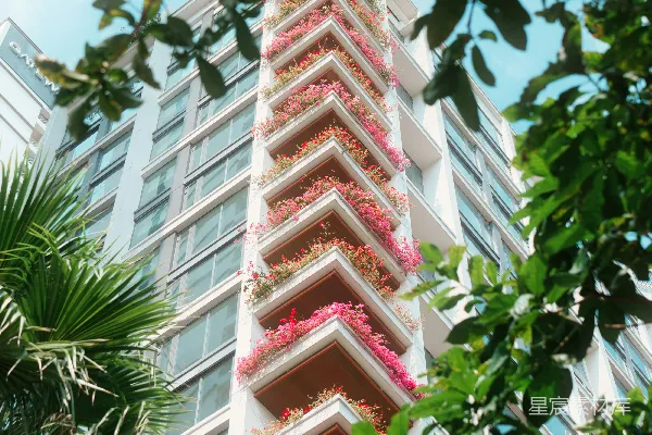 高清摄影 现代化的建筑，阳台上开满了粉红色的花朵。