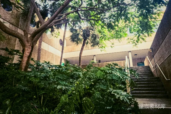 高清摄影 绿地和通向建筑物的楼梯