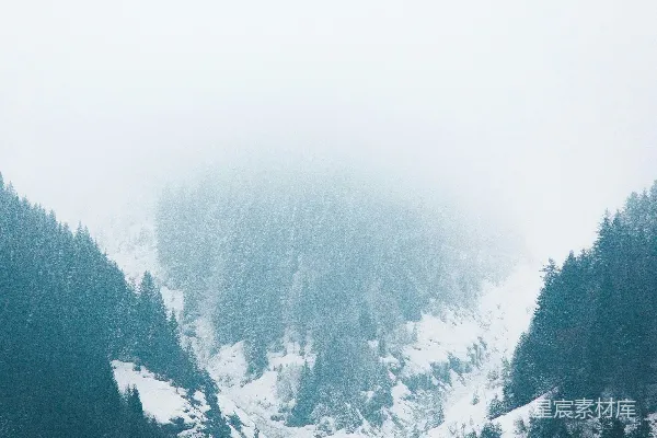 白天山上有雪覆盖