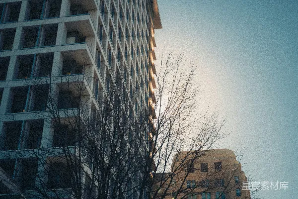 高清摄影 现代化的建筑在明亮的天空下，光秃秃的树木作为背景。