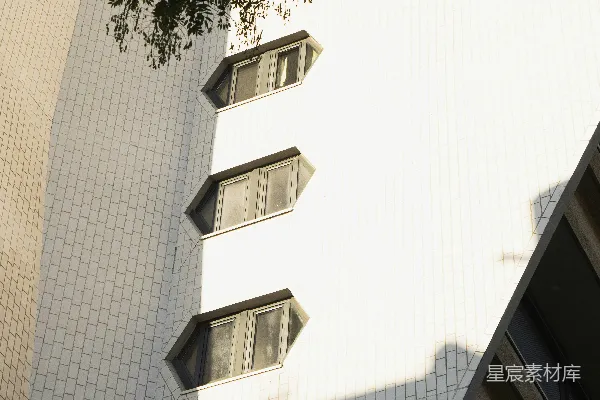 高清摄影 现代化的白色建筑，带有六边形窗户和一棵树