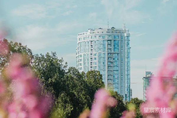 高清摄影 现代玻璃建筑后是绿树和粉红的花朵。