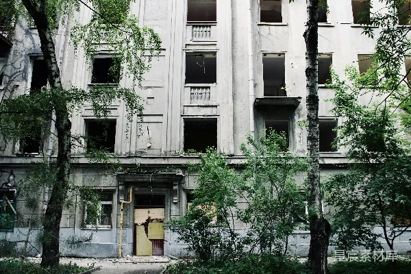 前面有树的建筑