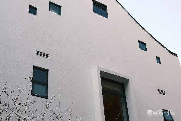 高清摄影 现代白墙建筑，有许多窗户和光秃秃的树枝。