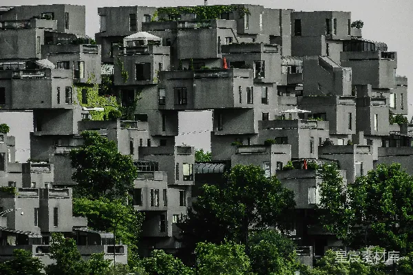 高清摄影 靠近树木的灰色高层建筑