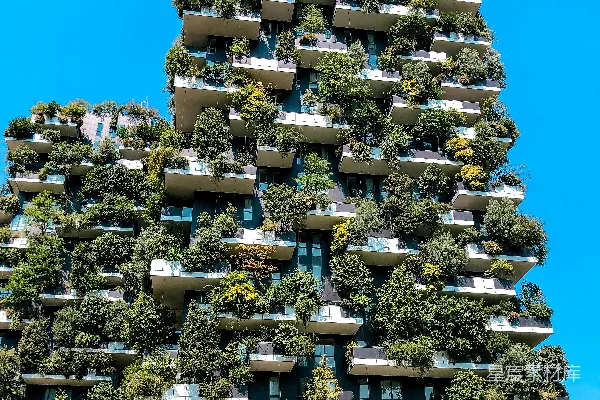 高清摄影 一座非常高大的建筑物，上面长了很多植物。