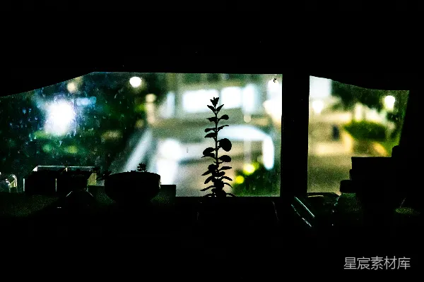 窗前种植