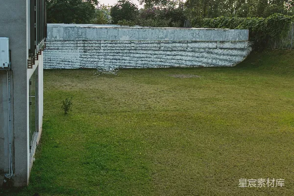 高清摄影 男人站在建筑物旁的绿色草坪上，看着手机。