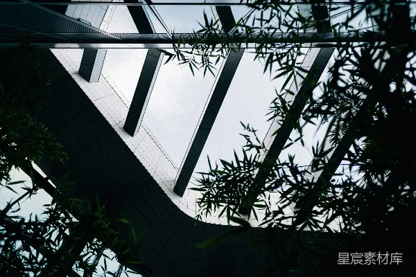 高清摄影 竹叶与现代化建筑内部的对比