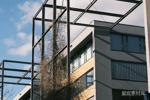高清摄影 现代建筑在多云的天空下与爬藤架相映成趣。