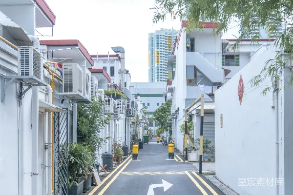 高清摄影 白天绿色树木旁的白色和灰色混凝土建筑