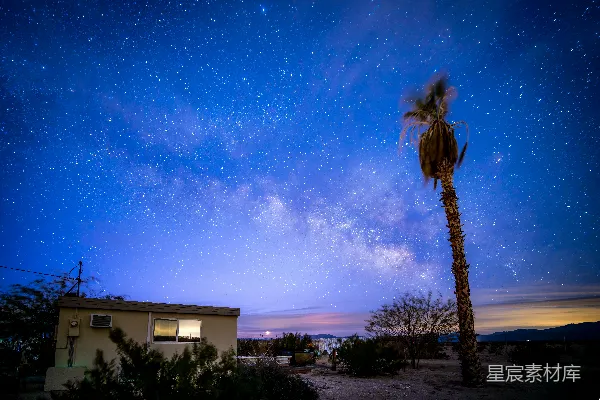 一棵棕榈树矗立在 houses 之下，夜空繁星点点。