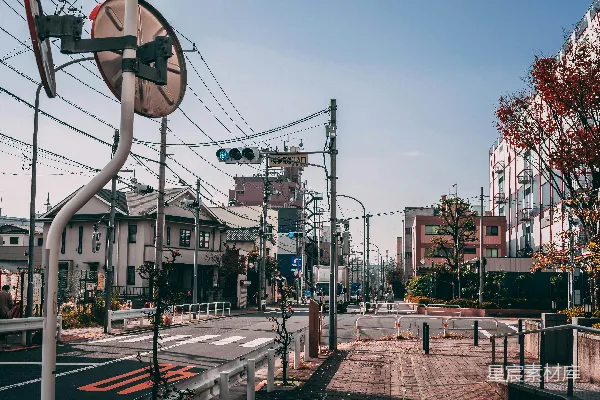 高清摄影 道路旁的白框交通信号灯靠近树木