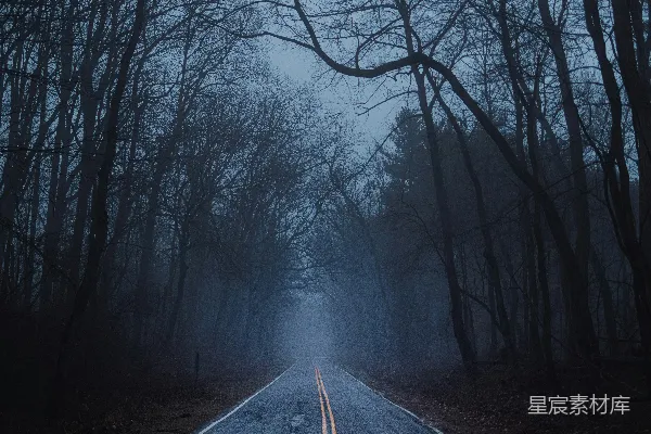 高清摄影 一条空旷的道路在雾蒙蒙的森林中