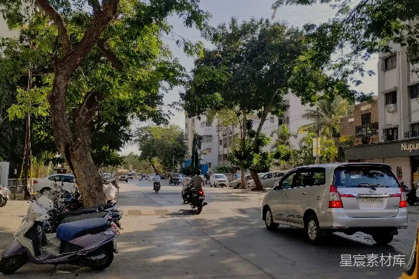 高清摄影 一辆摩托车停在道路旁边，树旁。