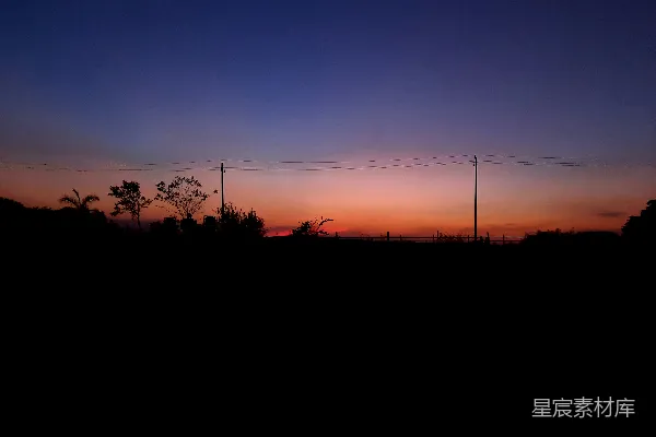 夕阳西下，一片田野上空架着电线。