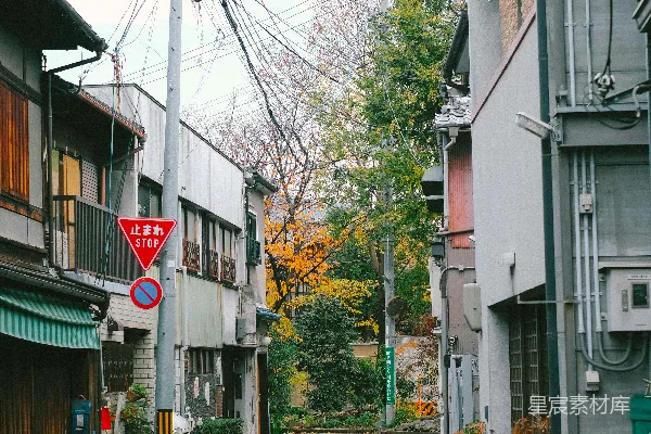 高清摄影 白色和绿色的混凝土建筑