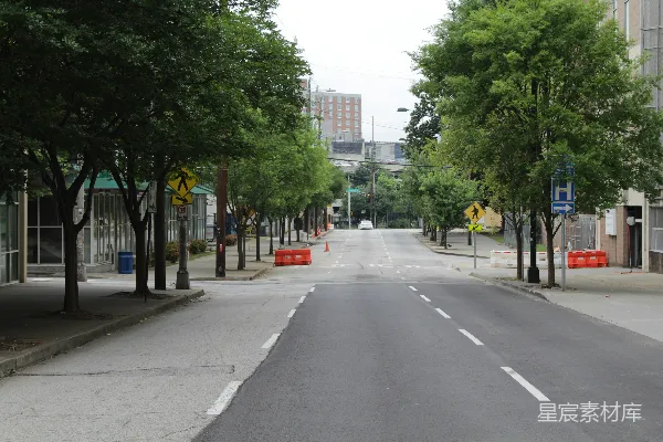 高清摄影 一条空旷的街道，两边都是树木。