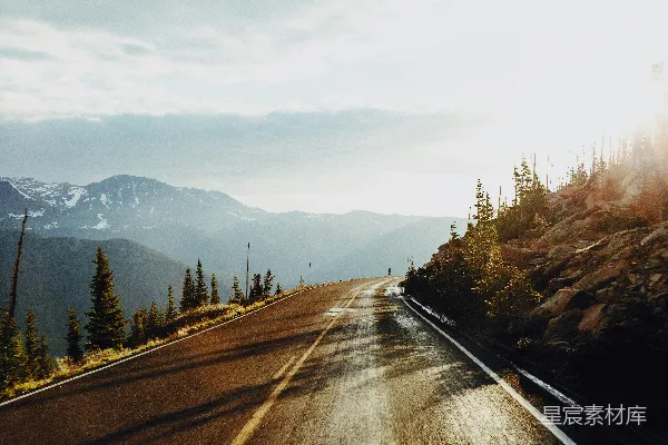 高清摄影 被树木包围的道路