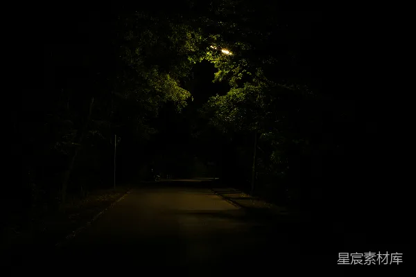 高清摄影 夜晚，灰色混凝土路被高大茂密的绿树环绕。