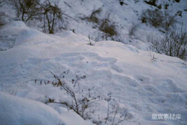 一个滑雪板爱好者沿着覆盖着白雪的山坡滑下。