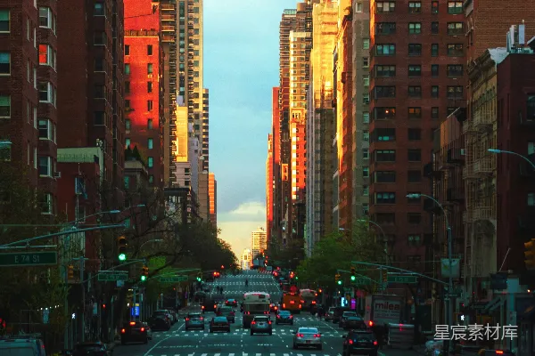 高清摄影 白天，高大建筑之间道路上的汽车