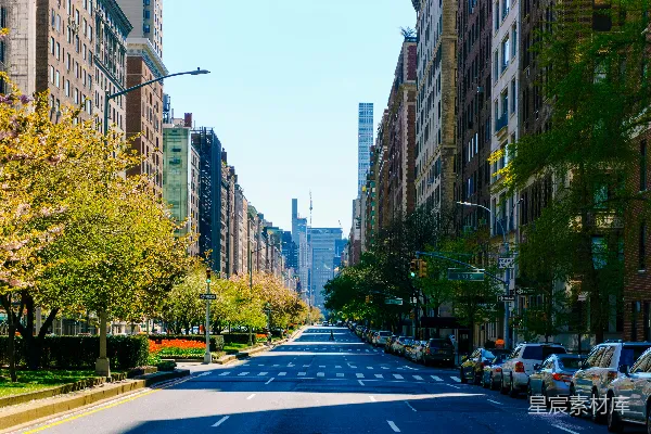 高清摄影 白天，高大建筑物附近的路边停着的汽车。