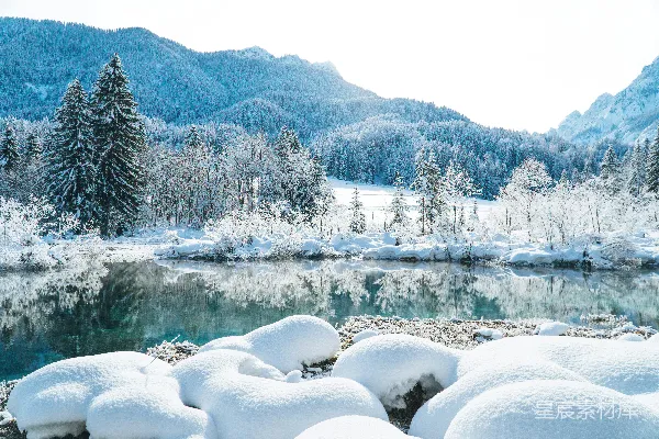 白天树木和山脉覆盖着白雪