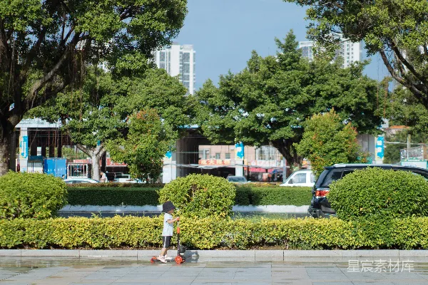 高清摄影 白天，一辆黑色汽车停在绿树旁。