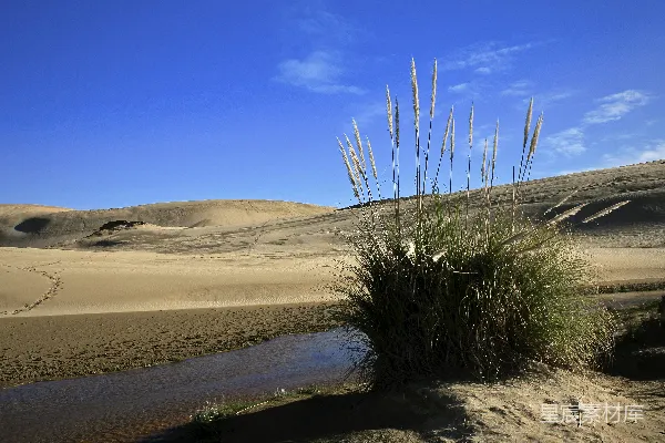 白天近水边有绿色草地和褐色沙滩的地方
