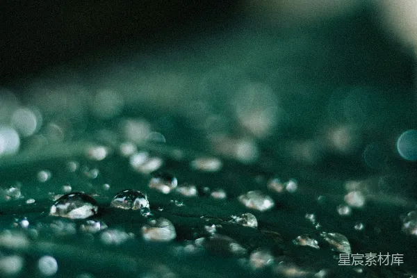 表面水珠的特写镜头