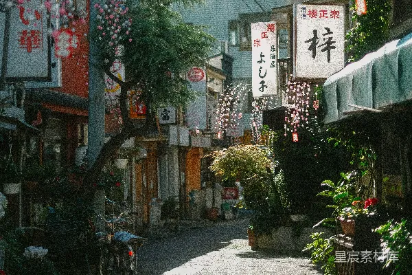 高清摄影 一条城市街道旁停着一辆自行车。