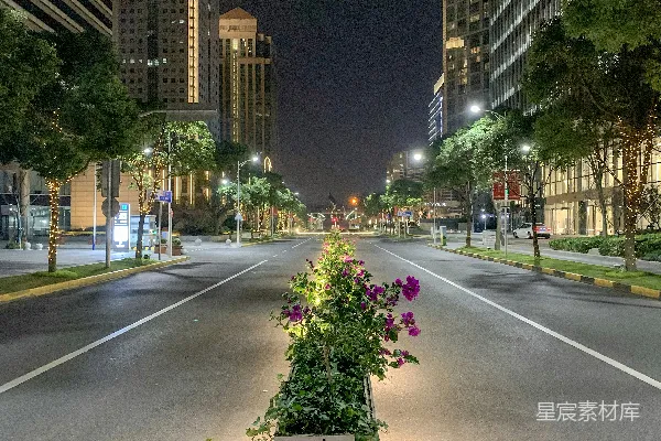 高清摄影 一条夜间的城市街道，路旁有一个花盆。