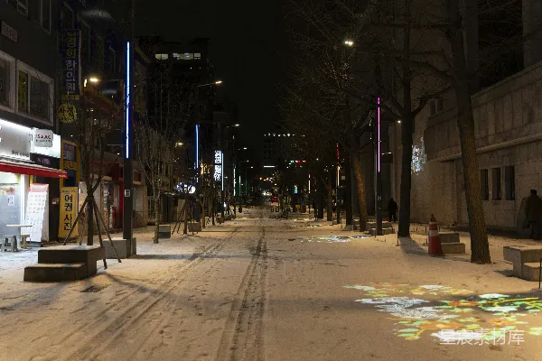 高清摄影 一条城市街道在夜晚被积雪覆盖。