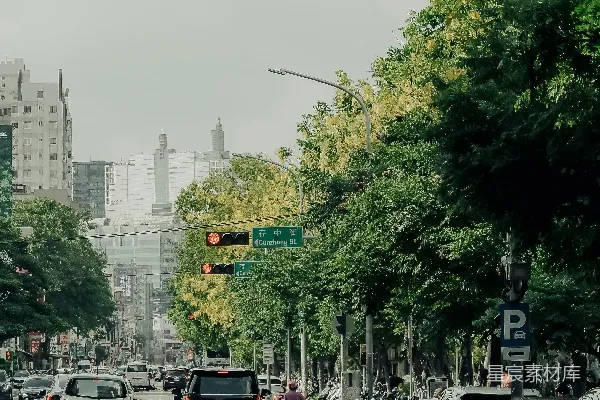 高清摄影 沿着绿树成荫的城市街道停着几辆汽车。
