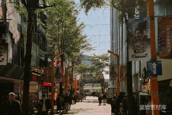 高清摄影 阳光洒在一排树木掩映的繁忙城市街道上。