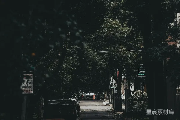 高清摄影 一条街道，路边停着汽车。