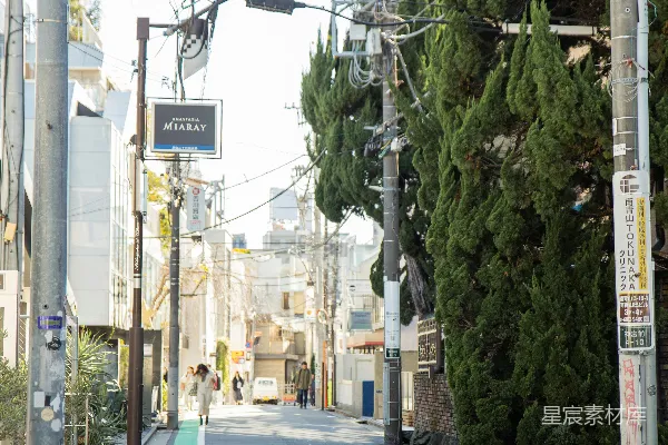 高清摄影 一条街道，街道的一侧画有一条绿色的线。