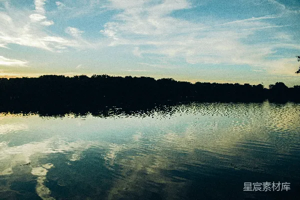 背景中有树木的水域