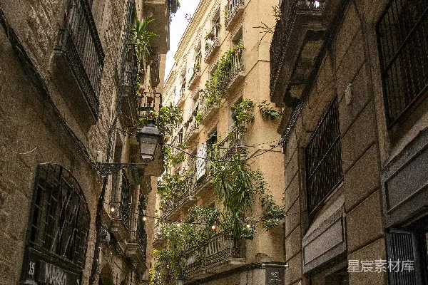 高清摄影 一条狭窄的城市街道，有几栋建筑物。