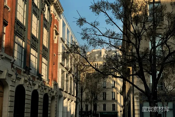 高清摄影 一条有树木和建筑物的街道