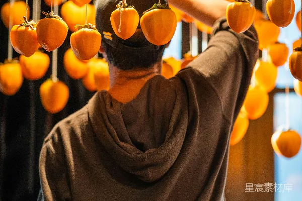 挂在展示架上的一个人在挂柿子。